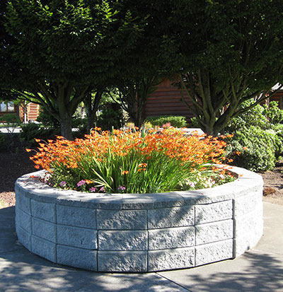 Latitude 49